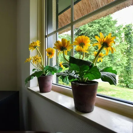 Tasteful In Guelders With A Private Terrace Villa